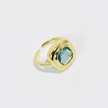 Garden Ring Mint Cushion