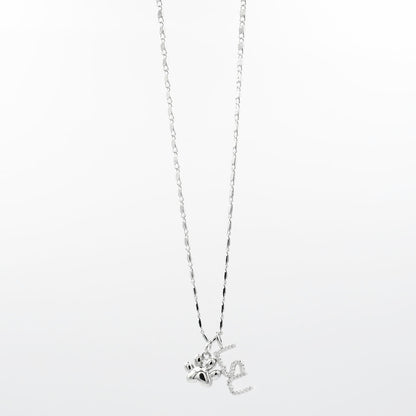 LSU PAW Silver T49