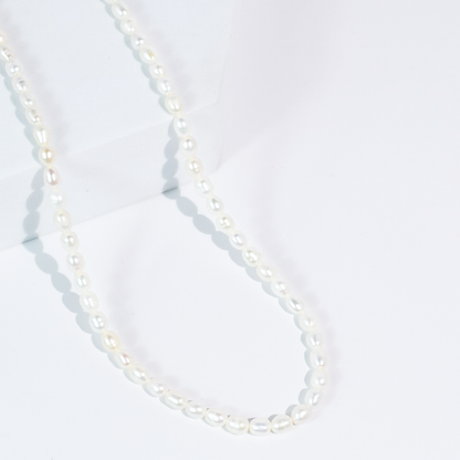 Pearl Cutie Necklace